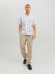CAMISA SUMMER DE LINO - Sunlit Allium Stripes:RELAXED FIT